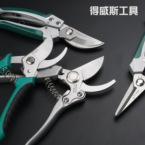 得威斯剪枝剪刀园林花艺修剪树枝剪刀果树剪刀粗大花剪园艺剪工具