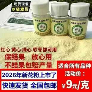 红心猕猴桃花粉猕猴桃雄花粉高活性人工授粉公雄树纯花粉授粉药