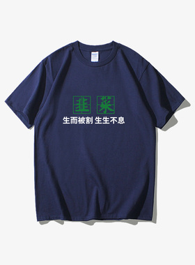 区块链比特币ethereum币圈狗狗币T恤短袖潮衣服女