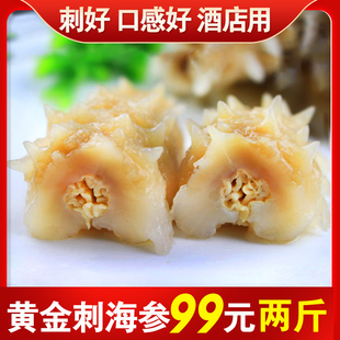 【99元两斤】即食黄金刺海参进口海参冰岛刺参白玉参野生鲜食500g
