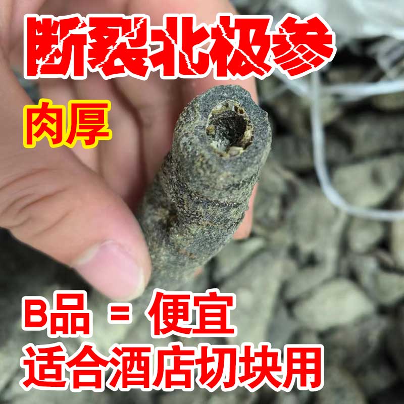 【北极参B品】野生海参加拿大北极参干货500g进口深海参淡干做菜