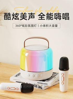 适用戴尔2025新14 PLUS 14英寸DB14250电脑蓝牙音响带麦克风音箱