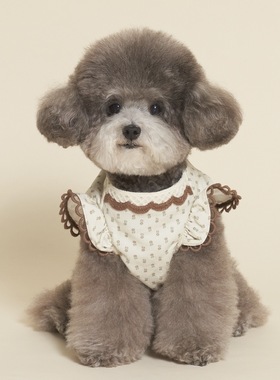 mollypets* 韩国代购meaningless小型犬T恤 灯芯绒碎花蕾丝边衣服