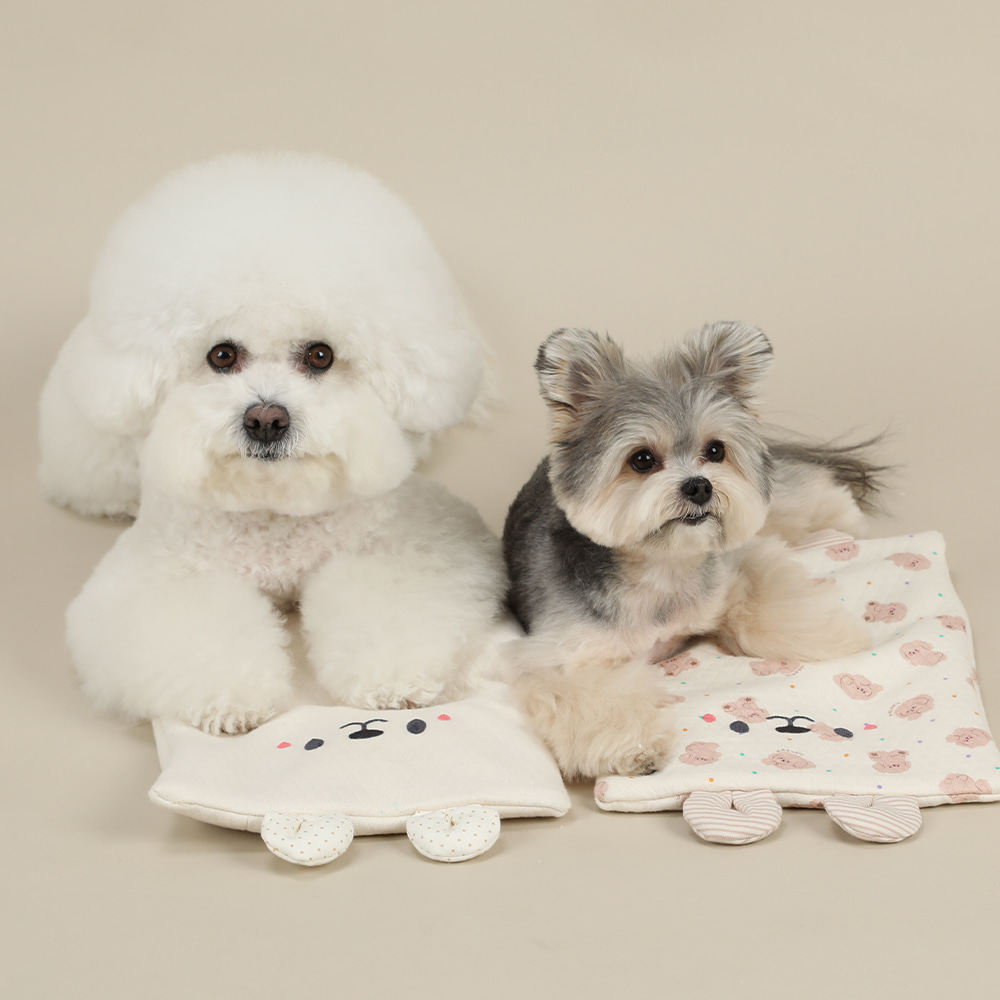 现mollypets* 韩国代购ritogato有机棉暖冰袋枕套 宠物猫狗降温垫