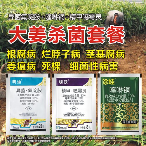 大姜杀菌专用药生姜专用套餐姜瘟