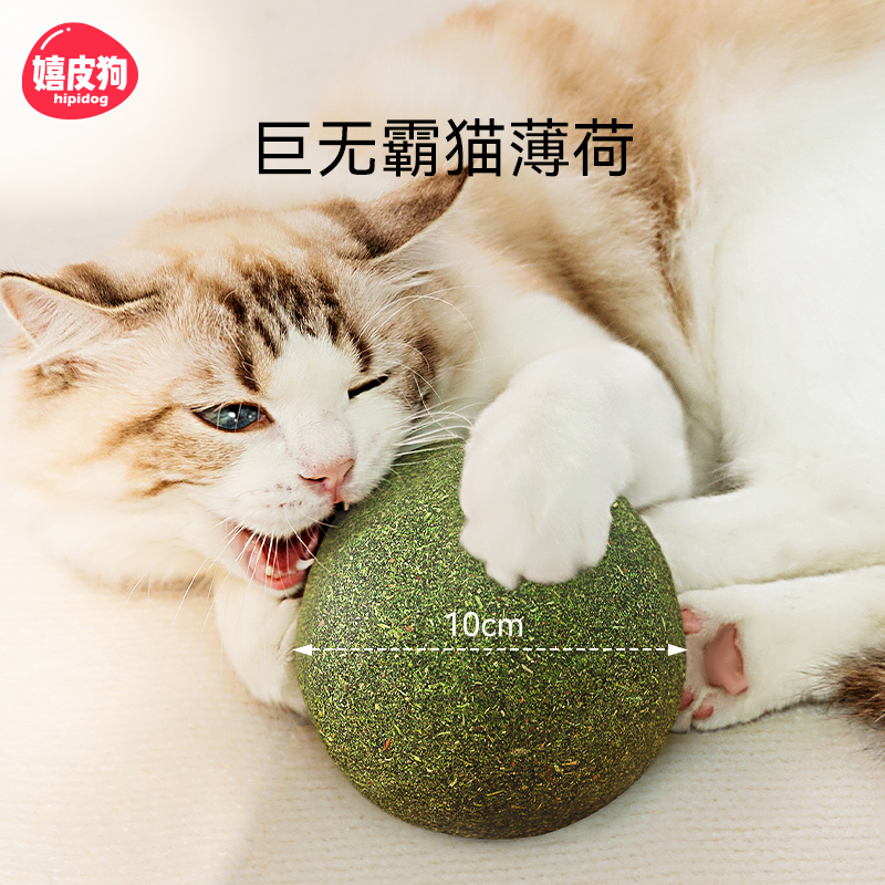 猫咪玩具大薄荷球小猫猫自嗨解闷磨牙猫草球逗猫棒猫咪用品木天蓼