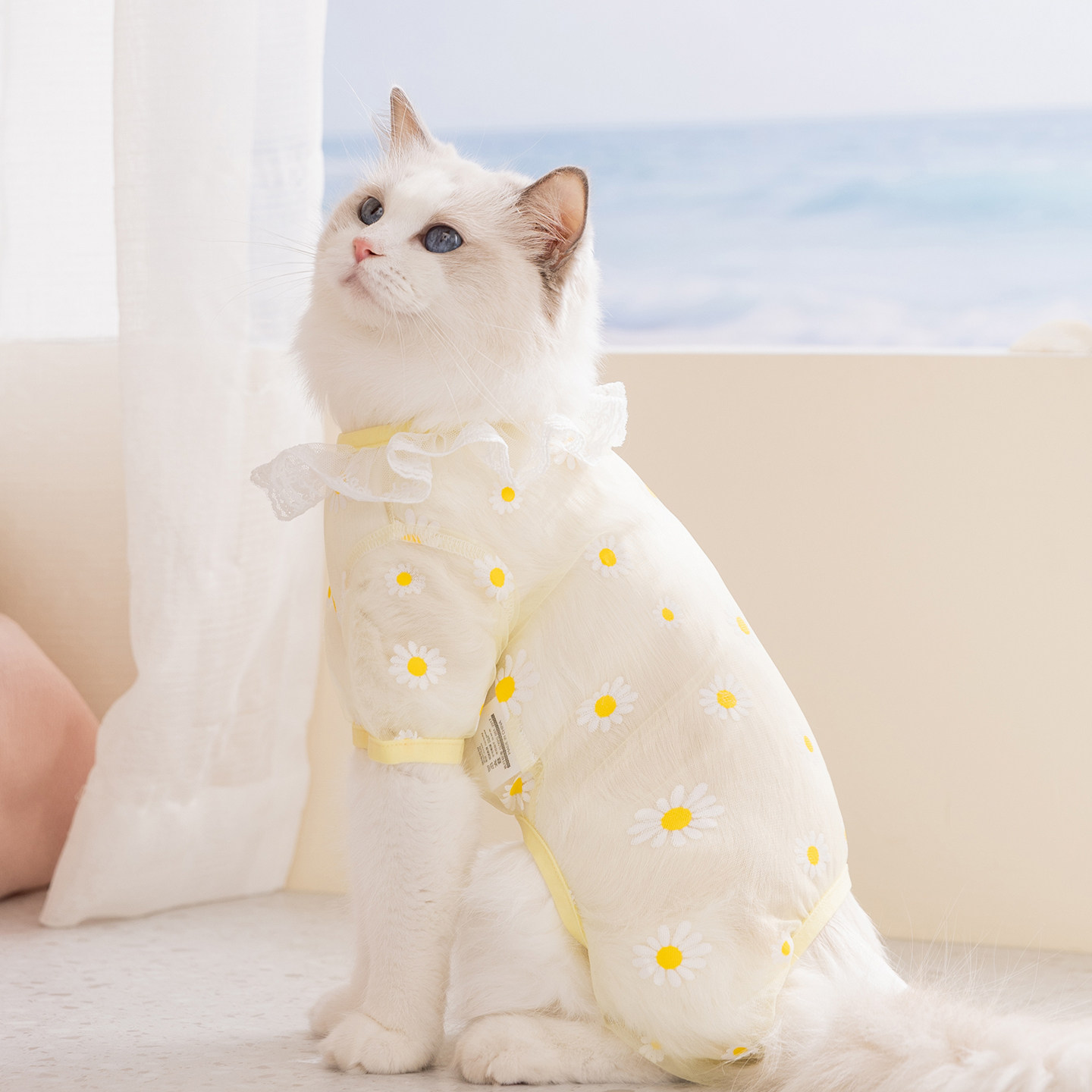 小猫咪衣服2026新款春夏布偶猫防掉毛薄款嬉皮狗宠物猫网纱四脚衣