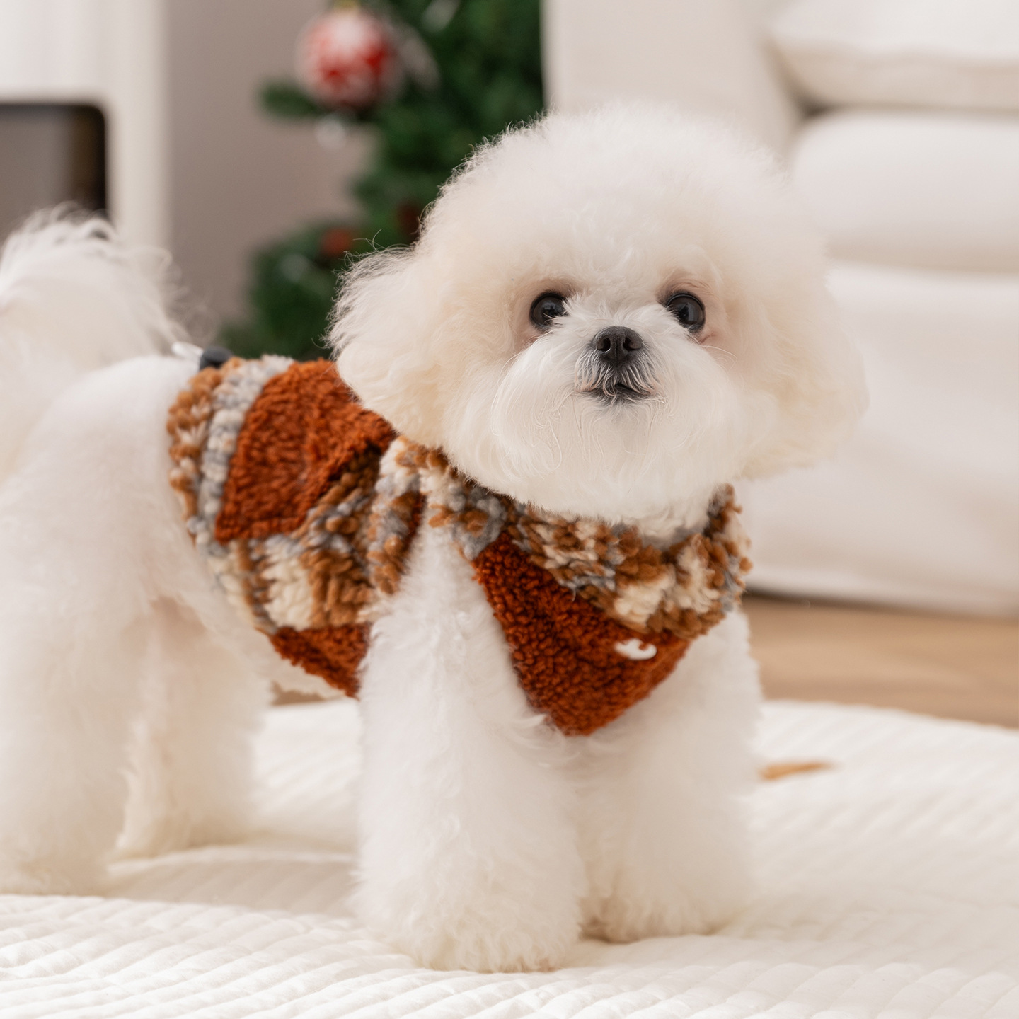 嬉皮狗小狗狗衣服比熊泰迪雪纳瑞幼犬专用春秋装中小型犬宠物绒衣