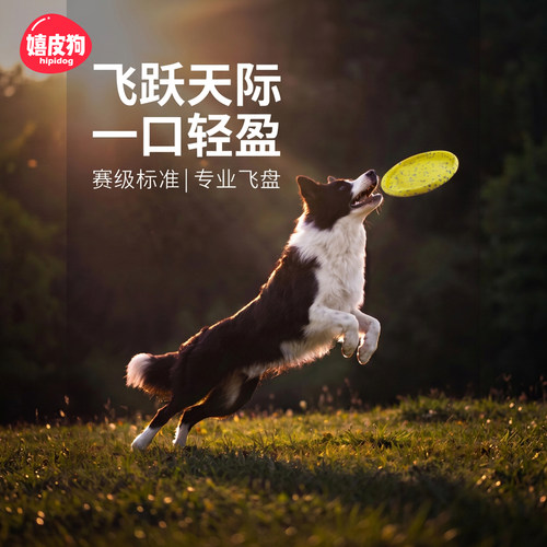 狗狗飞盘边牧耐咬训狗专用
