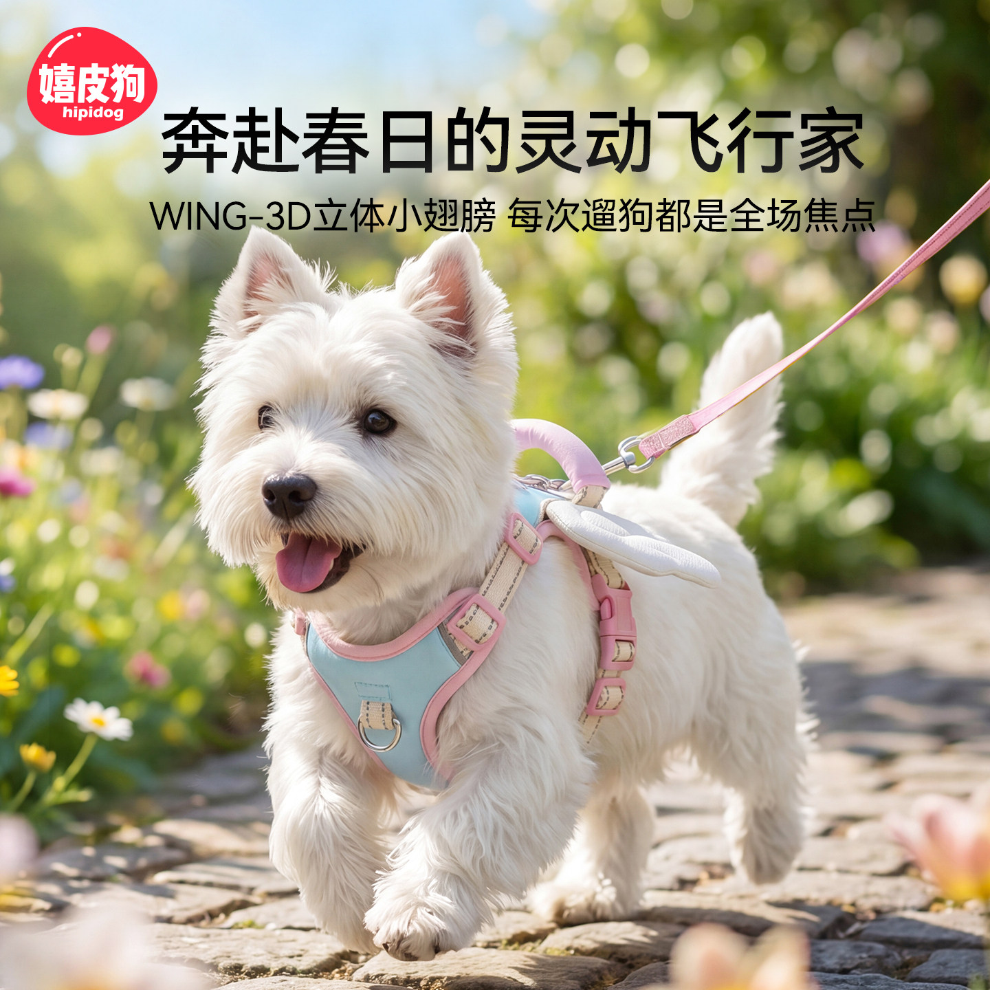 狗狗牵引绳透气胸背带背心式遛狗绳大中小型犬专用防爆冲宠物用品