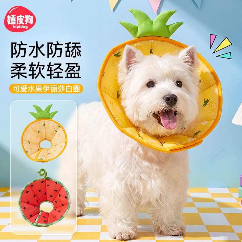 嬉皮狗防水柔软水果伊丽莎白圈图片