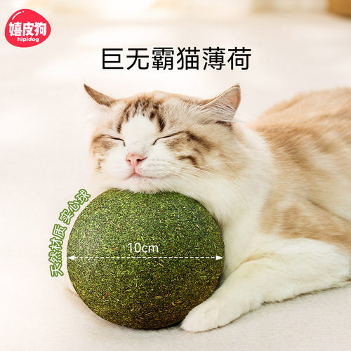 10CM超大猫薄荷球！猫咪玩嗨啦！