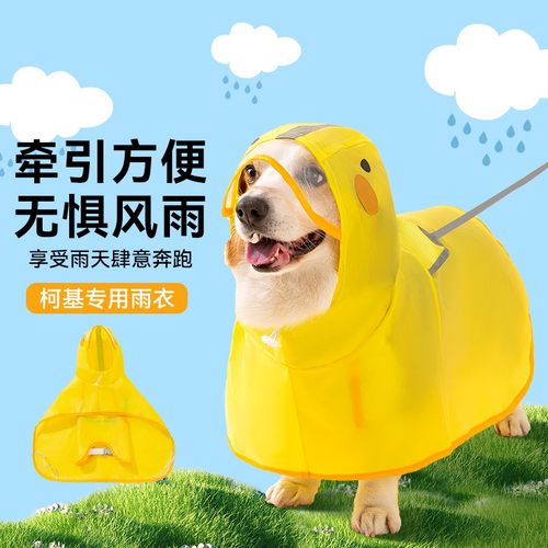 柯基专用雨衣主打包肚护头不拖地