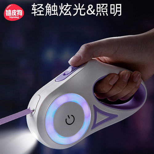 闪耀出行，夜间遛狗也舒适自在