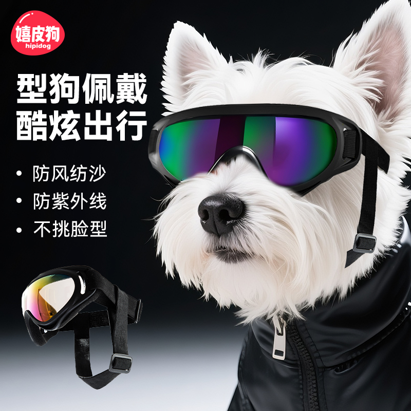 宠物狗狗护目镜酷炫出街