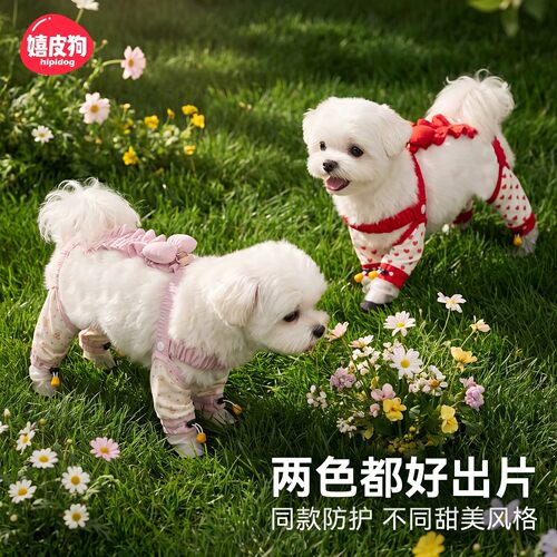 嬉皮狗甜美蝴蝶结防脏防尘四脚裤