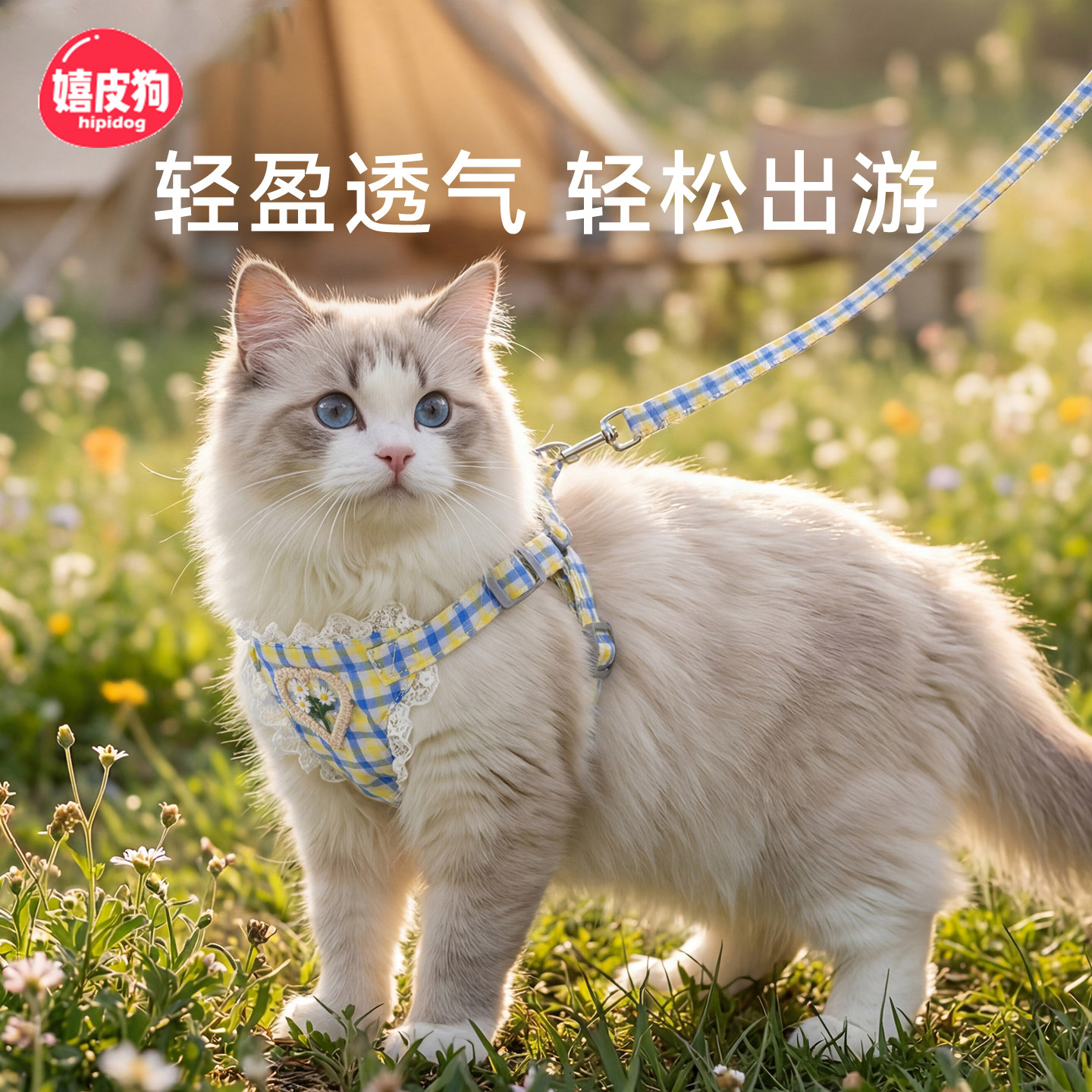 猫咪牵引绳防挣脱外出专用透气胸背牵引绳春夏外出背心式溜猫神器