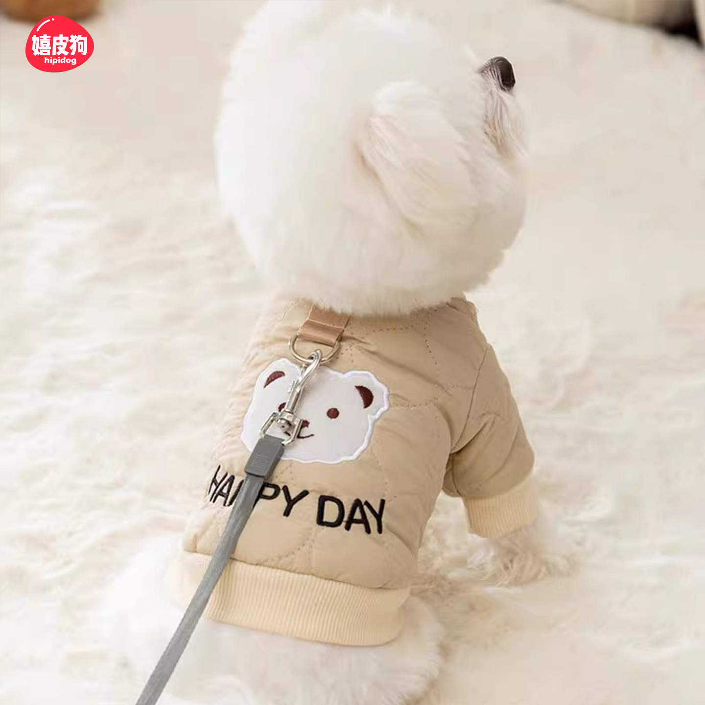 狗狗可爱可牵引两脚棉衣