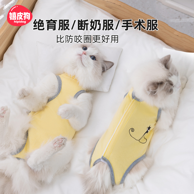 薄款保暖防咬，小猫咪绝育好帮手