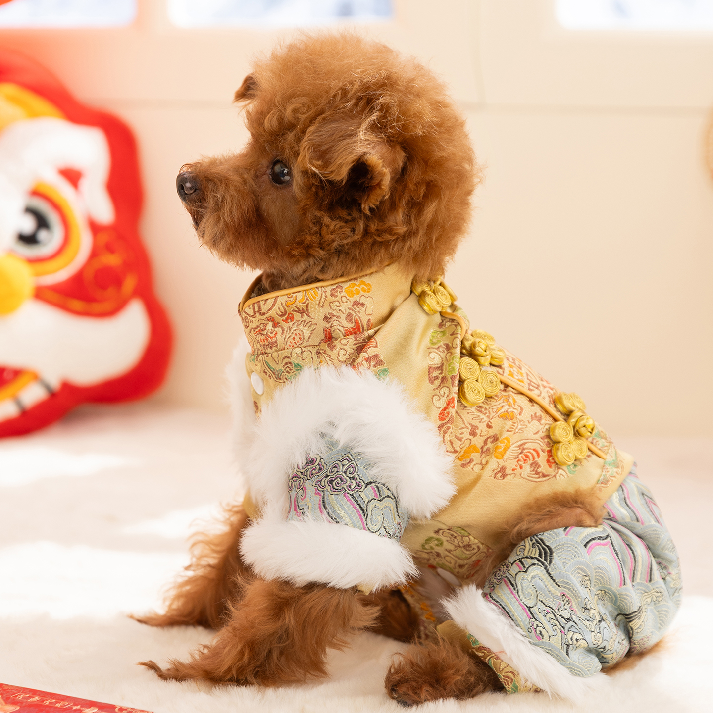 狗狗衣服2025新款冬装比熊泰迪唐装新年小型犬宠物小狗衣服新中式