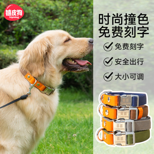 狗狗刻字宠物项圈丢失大型犬脖套