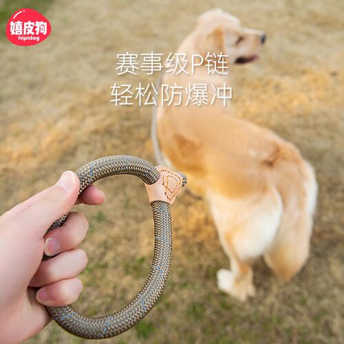 狗绳升级加粗，轻松控制顽皮狗