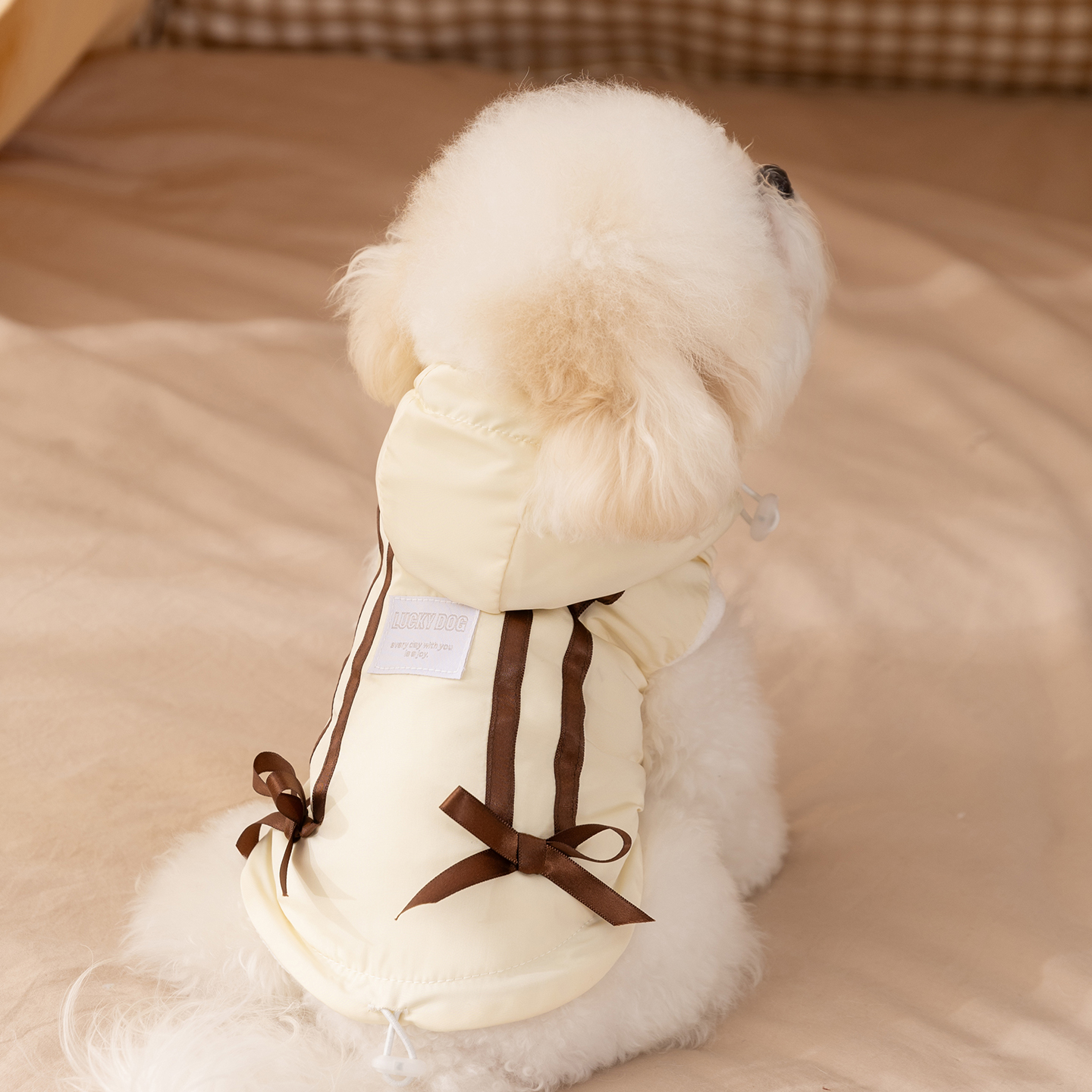 狗狗衣服2025新款冬装比熊泰迪雪纳瑞冲锋棉衣小型犬宠物小狗衣服