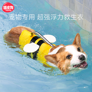 柯基泰迪中型小型犬泳衣大型犬夏天 小狗狗救生衣宠物游泳衣服夏季