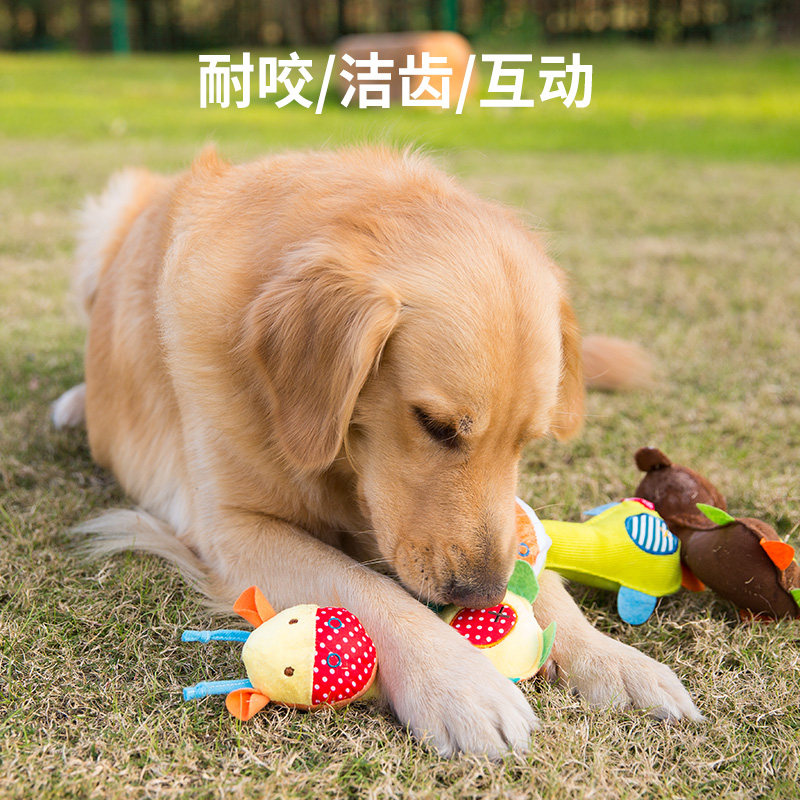 狗狗玩具毛绒发声小狗磨牙耐咬幼犬训练泰迪金毛解闷神器宠物用品