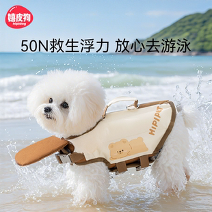 泰迪雪纳瑞约克夏比熊小型犬宠物游泳衣服 嬉皮狗小狗狗救生衣夏季