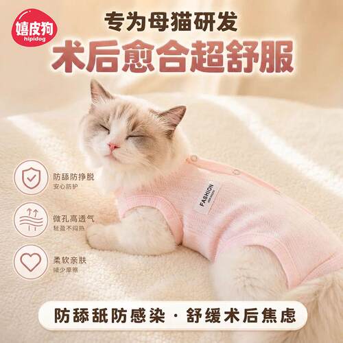 四脚全包纯棉衣居家防凉防舔
