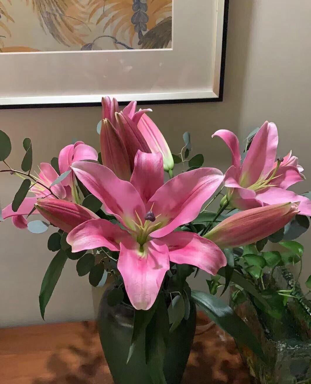 香水百合（普拉芬多）：花苞大，品质好！一扎10枝