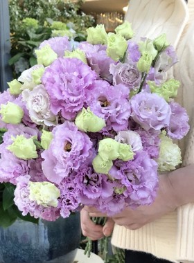 波浪浅紫色桔梗4拼花800克左右