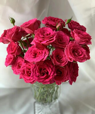 弗洛伊德玫瑰20支硕大的花型馥郁的好闻香气