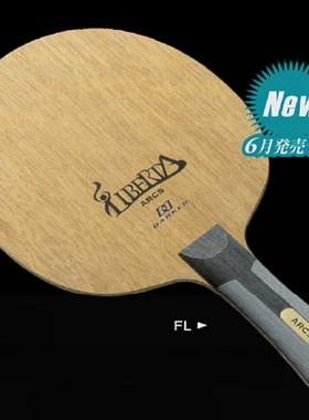 日本代购正品DARKER达克内置碳素乒乓球拍底板LIBERTA ARCS