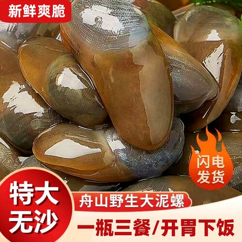 泥螺即食罐装黄泥螺鲜活特大新鲜醉泥螺罐头无沙舟山特产宁波海鲜