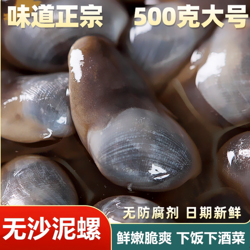 醉泥螺皇中皇特大无沙黄泥螺罐头腌制海鲜舟山宁波特产即食下酒菜