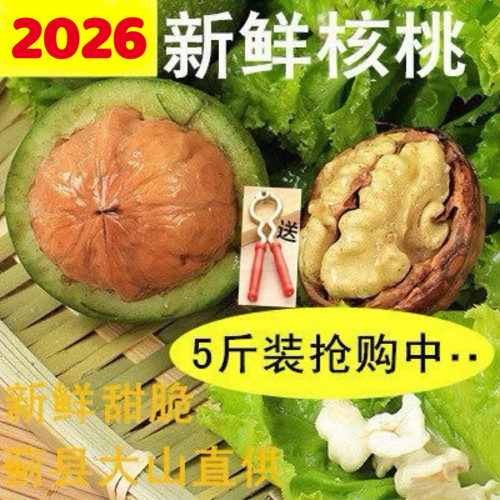 2026新鲜湿核桃纸皮新核桃天津蓟县特产青皮核桃绿皮薄皮嫩核桃