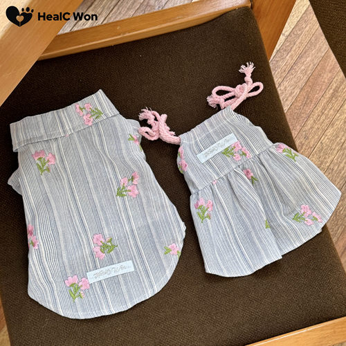 宠物衣服孟子义狗狗同款