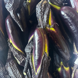 云南老品种茄子六十年代紫茄露天种植软糯微苦腌茄子农家自种现摘