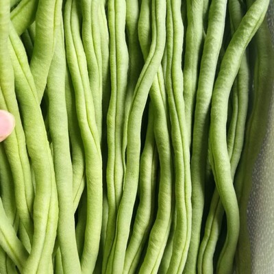 5斤新鲜蔬菜豆角无筋现摘现发