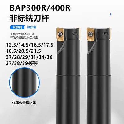 BAP300R/400R非标直角铣刀杆
