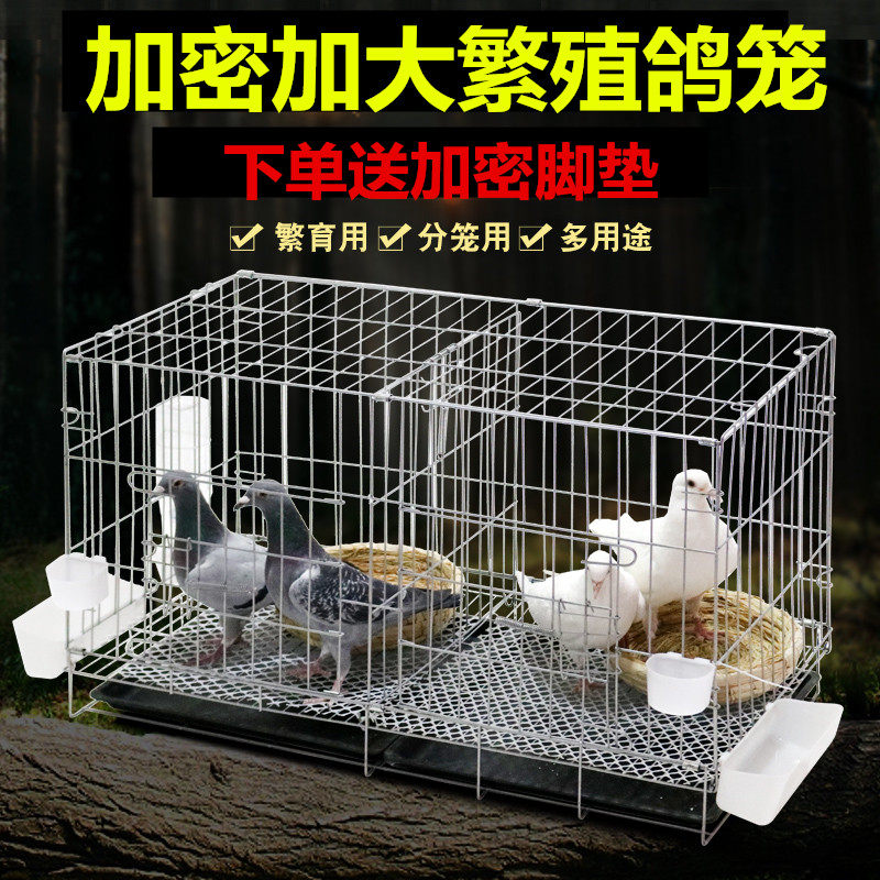 鸽子笼养殖笼家用带隔断配对繁殖笼大号鸽舍鸽子用具清仓折叠鸽笼