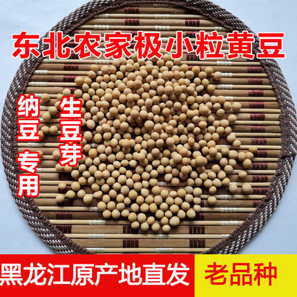 东北农家自种极小粒黄豆生豆芽纳豆专用出芽率98%杂粮豆新货包邮