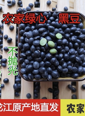 东北绿心芯黑豆农家青仁乌皮农家黑豆五谷杂粮豆浆醋泡黑大豆新货