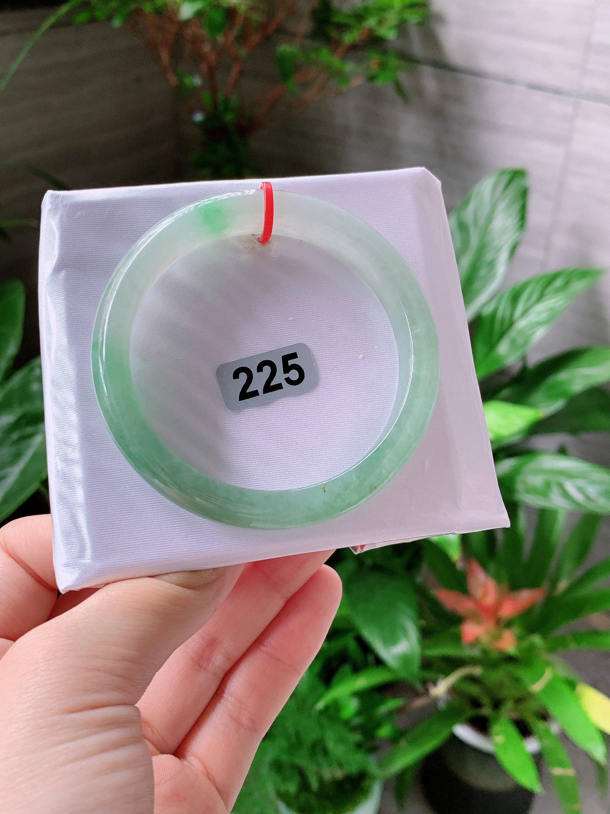 A货手镯54圈口冰种飘绿花正圈手镯种老肉细女款带证书