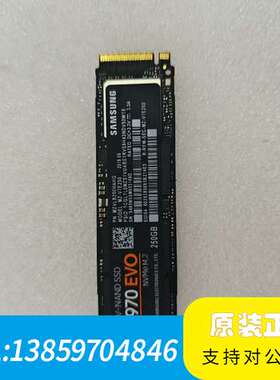 970evo-250g固态议价