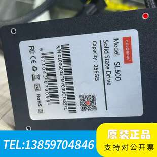 七彩虹 SL500 256GB 固态硬盘议价