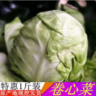 新鮮蔬菜卷心菜包菜蓮花白1斤鮮圓白菜包心菜甘藍現摘泡菜在類目 水產肉類/新鮮蔬果/熟食, 新鮮蔬菜/蔬菜製品, 新鮮蔬菜, 其它中 - 來自Buy2taobao.com提供專業的淘寶代購服務
