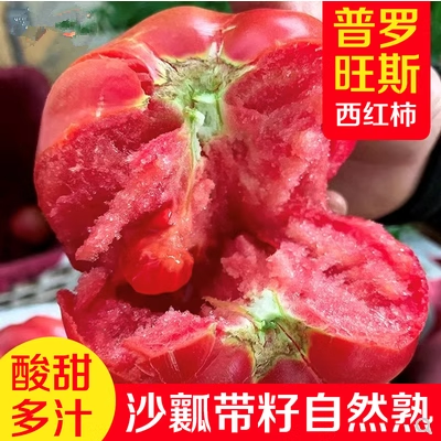 苏北特产农家田园新鲜蔬菜普罗旺斯西红柿番茄自然熟水果沙瓤5斤
